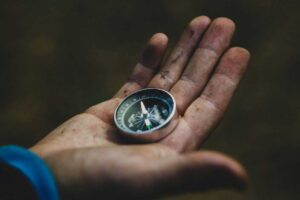 Deciding on business investment during economic volatility